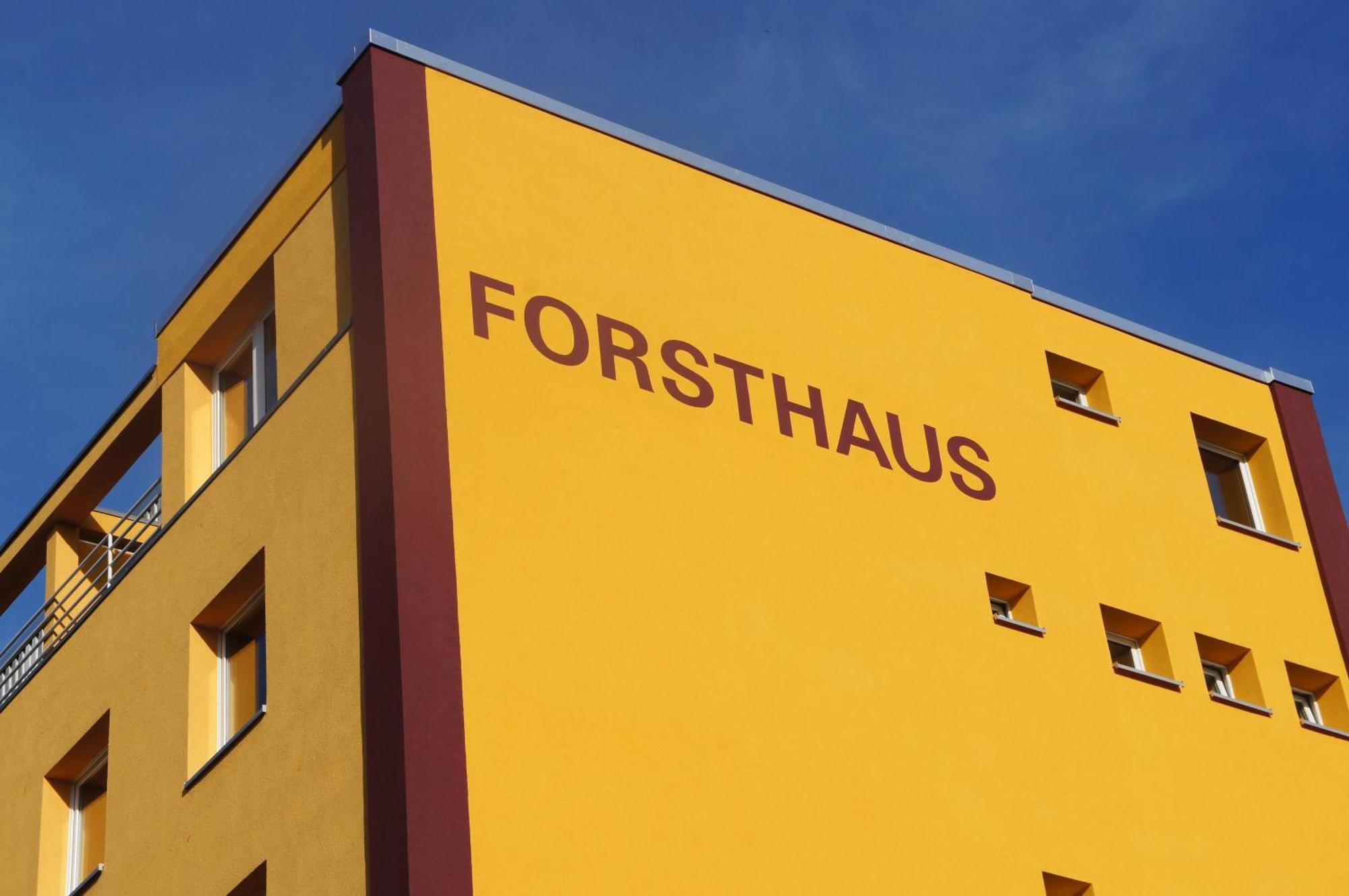 Forsthaus Appartements Braunschweig Eksteriør bilde